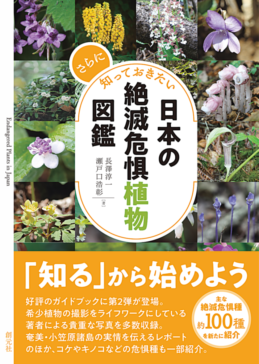 29d3bc99193cb0b837fb8cc53f050a