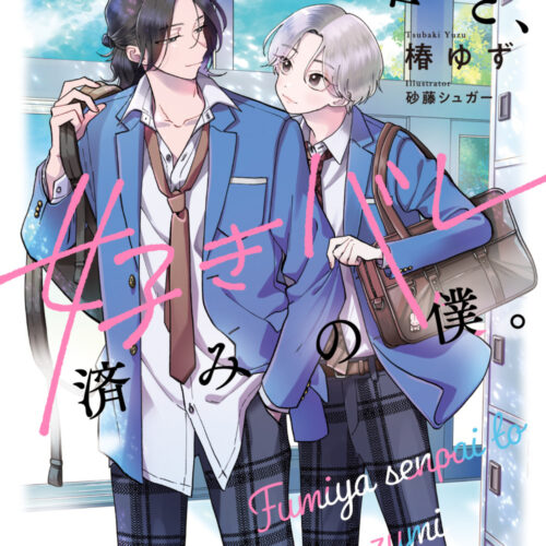【BL小説】91冊セット☆文庫 単行本 BL 小説 文庫 4冊セット 月村奎・菅野彰・高岡ミズミ・ひちわ